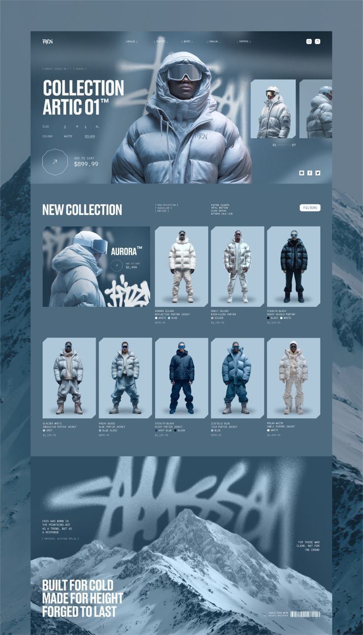 Shopify ecommerce storefront interface for client sites